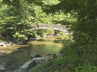 New York State Parks 1998 #14